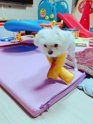 상큼슈님이 올린 리뷰 사진 2