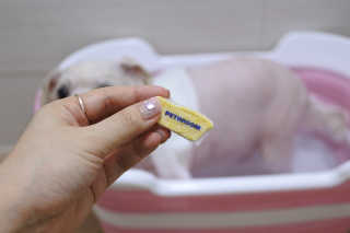 Pethroom 페스룸 PETHROOM DEEP CLEAN BATHBOMB 페스룸 딥클린 배쓰밤 — 5점을 준 리뷰어가 2020년 3월 올린 사용 사진