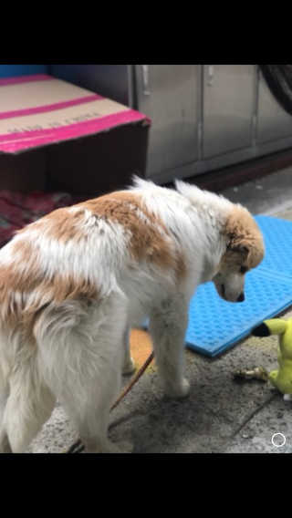 꽃찐빵님이 올린 리뷰 사진 3