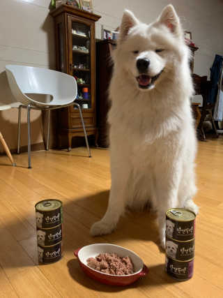 펫토리아 한캔뚝딱 best 강아지캔,고양이주식캔 — 5점을 준 리뷰어가 2019년 6월 올린 사용 사진