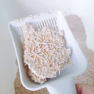 한라봉님이 올린 리뷰 사진 2