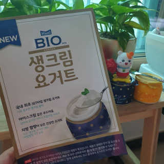 [매일 바이오] 생크림요거트 플레인 12개 + 유자 12개 — 5점을 준 리뷰어가 2019년 7월 올린 사용 사진
