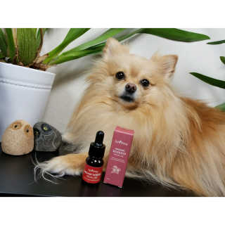 Peepingpomeranian님이 올린 리뷰 사진 1