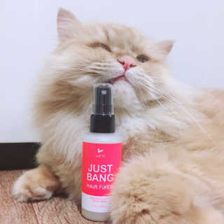 나르미르님이 올린 리뷰 사진 1