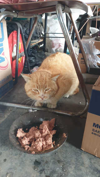 미호니님이 올린 리뷰 사진 4