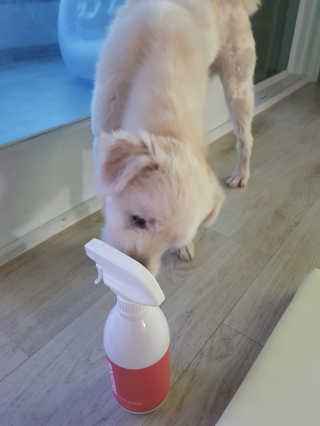 라혜수님이 올린 리뷰 사진 3