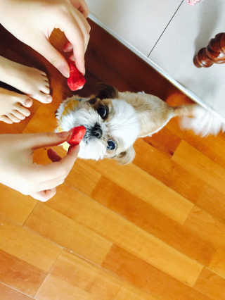 noname님이 올린 리뷰 사진 1