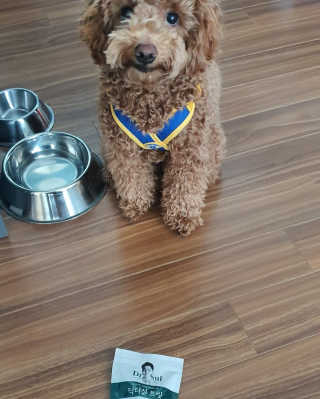 Marine님이 올린 리뷰 사진 2