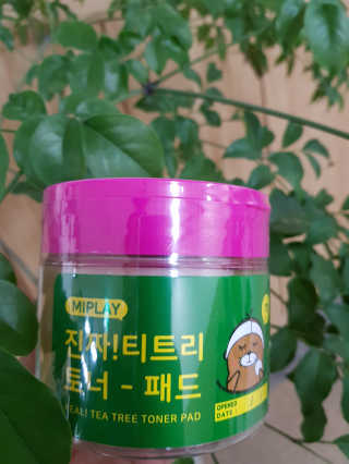 미플레이 진짜 티트리 토너 패드 — 5점을 준 리뷰어가 2018년 11월 올린 사용 사진