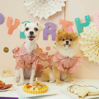 최정임님이 올린 리뷰 사진 1