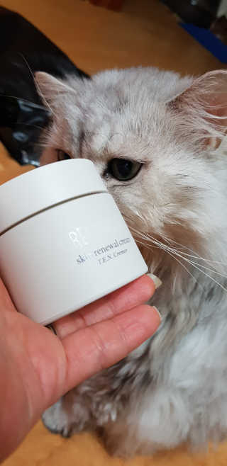 이영실님이 올린 리뷰 사진 2