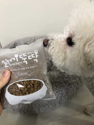 펫토리아 한끼뚝딱 클래식 강아지 건식사료 — 5점을 준 리뷰어가 2019년 4월 올린 사용 사진