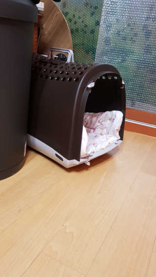 이영실님이 올린 리뷰 사진 1