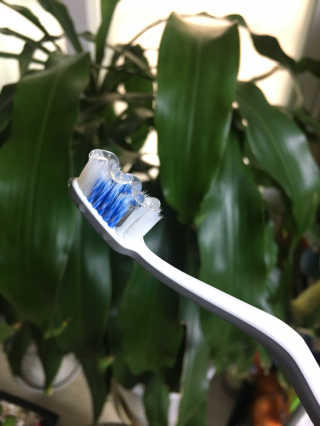 거져줄께잘사가님이 올린 리뷰 사진 4