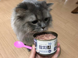 인디님이 올린 리뷰 사진 1