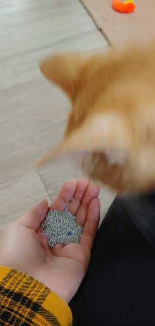 봄나님이 올린 리뷰 사진 2
