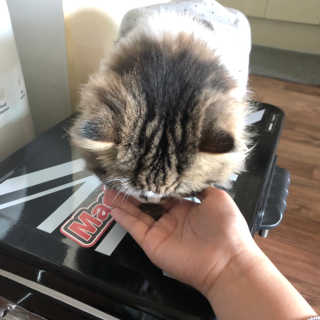 문세인님이 올린 리뷰 사진 3