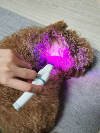 narae님이 올린 리뷰 사진 3