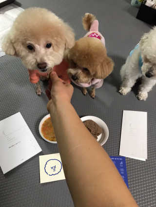 [어글어글] 반려견 친환경 간식 9종 세트 — 5점을 준 리뷰어가 2020년 1월 올린 사용 사진