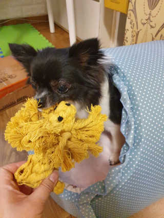 쏭야님이 올린 리뷰 사진 4