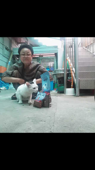[펫토리아]퍼스트메이트 그레인프리 고양이사료 — 4.5점을 준 리뷰어가 2019년 7월 올린 사용 사진