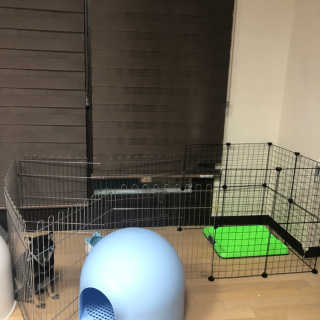 숩니님이 올린 리뷰 사진 2