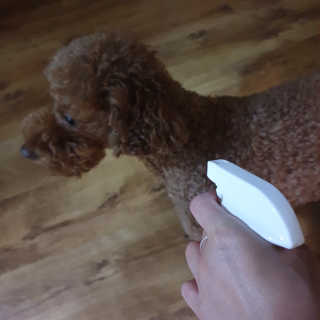 호야야님이 올린 리뷰 사진 2