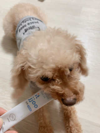 뽀로로님이 올린 리뷰 사진 2