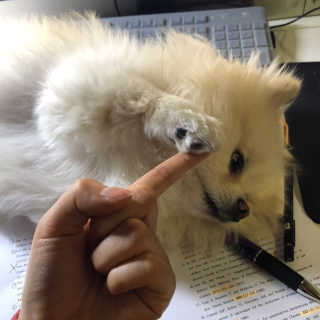 화장품과님이 올린 리뷰 사진 3