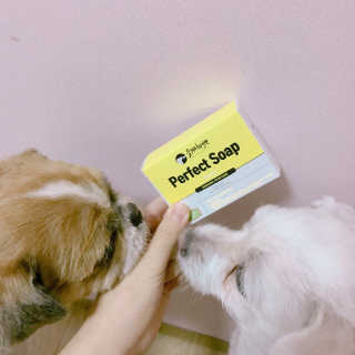 동대기리기리님이 올린 리뷰 사진 1