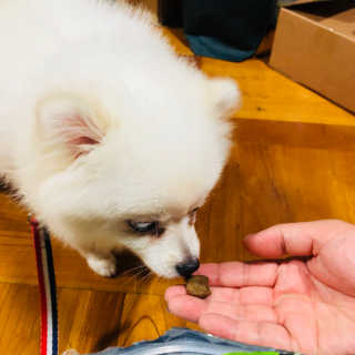 김아름님이 올린 리뷰 사진 1