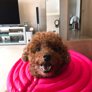 코코야님이 올린 리뷰 사진 3
