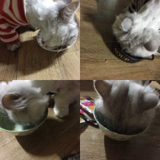 으냥님이 올린 리뷰 사진 1