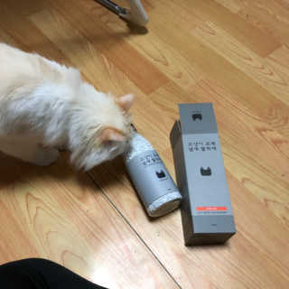 JungheeKim님이 올린 리뷰 사진 2