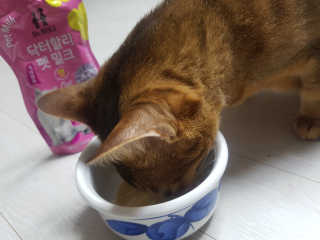 닼으님이 올린 리뷰 사진 1