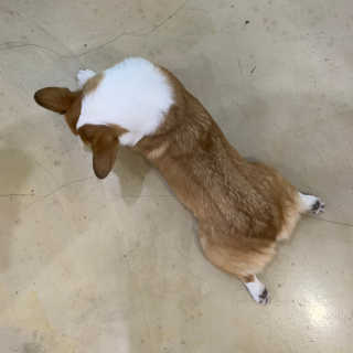 bee님이 올린 리뷰 사진 4