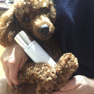 꽁냥꽁냥님이 올린 리뷰 사진 2