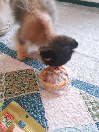 아윤마밍님이 올린 리뷰 사진 2