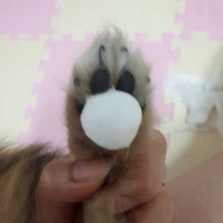 김민주님이 올린 리뷰 사진 4