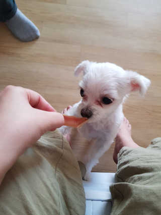 혜니니님이 올린 리뷰 사진 1