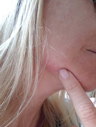 www.BoredMom.com님이 올린 리뷰 사진 3
