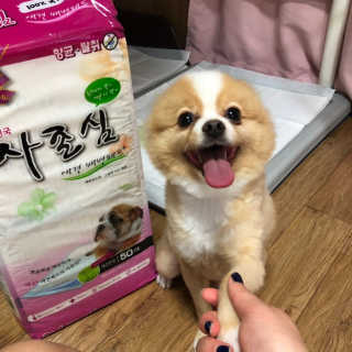 럽영님이 올린 리뷰 사진 1