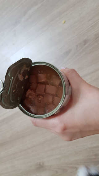 [펫토리아]배피 고양이,빌리강아지 대용량주식캔 — 3점을 준 리뷰어가 2019년 7월 올린 사용 사진