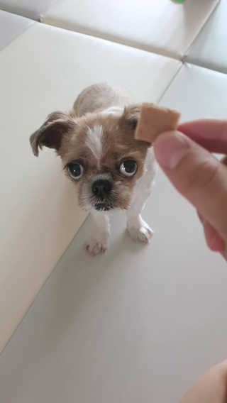 기룡이님이 올린 리뷰 사진 2