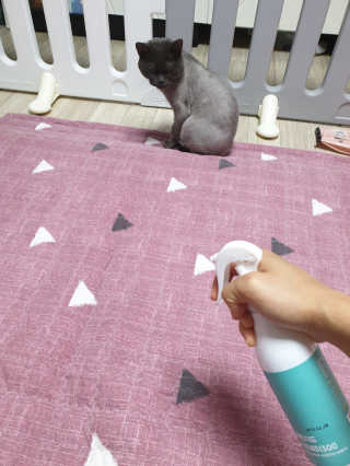 쯀맘님이 올린 리뷰 사진 3