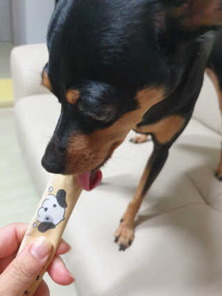[펫토리아]짜먹는 한입뚝딱 강아지.고양이 마약간식 — 5점을 준 리뷰어가 2019년 7월 올린 사용 사진