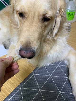 셀럽봉봉님이 올린 리뷰 사진 3