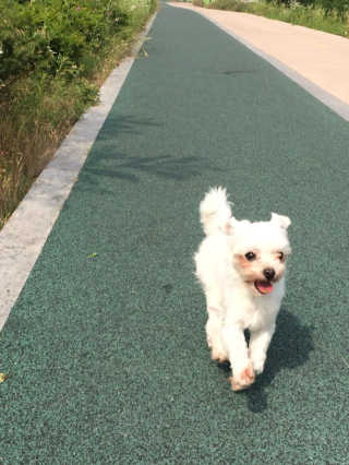 연쥬연쥬님이 올린 리뷰 사진 2