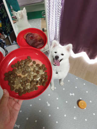 양동이님이 올린 리뷰 사진 2