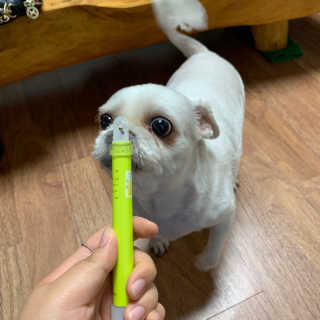 띠로링님이 올린 리뷰 사진 1
